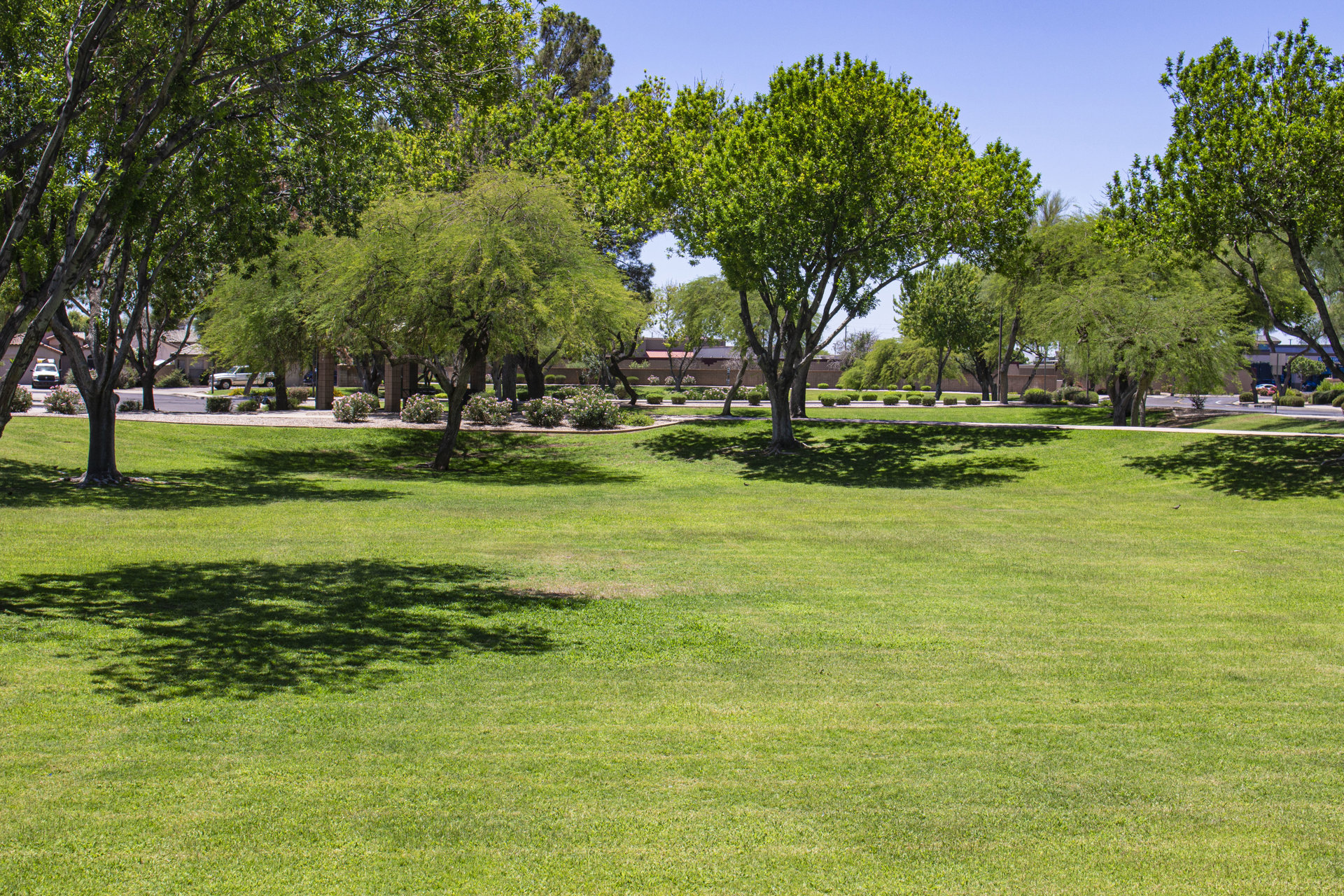 Gilbert Ranch