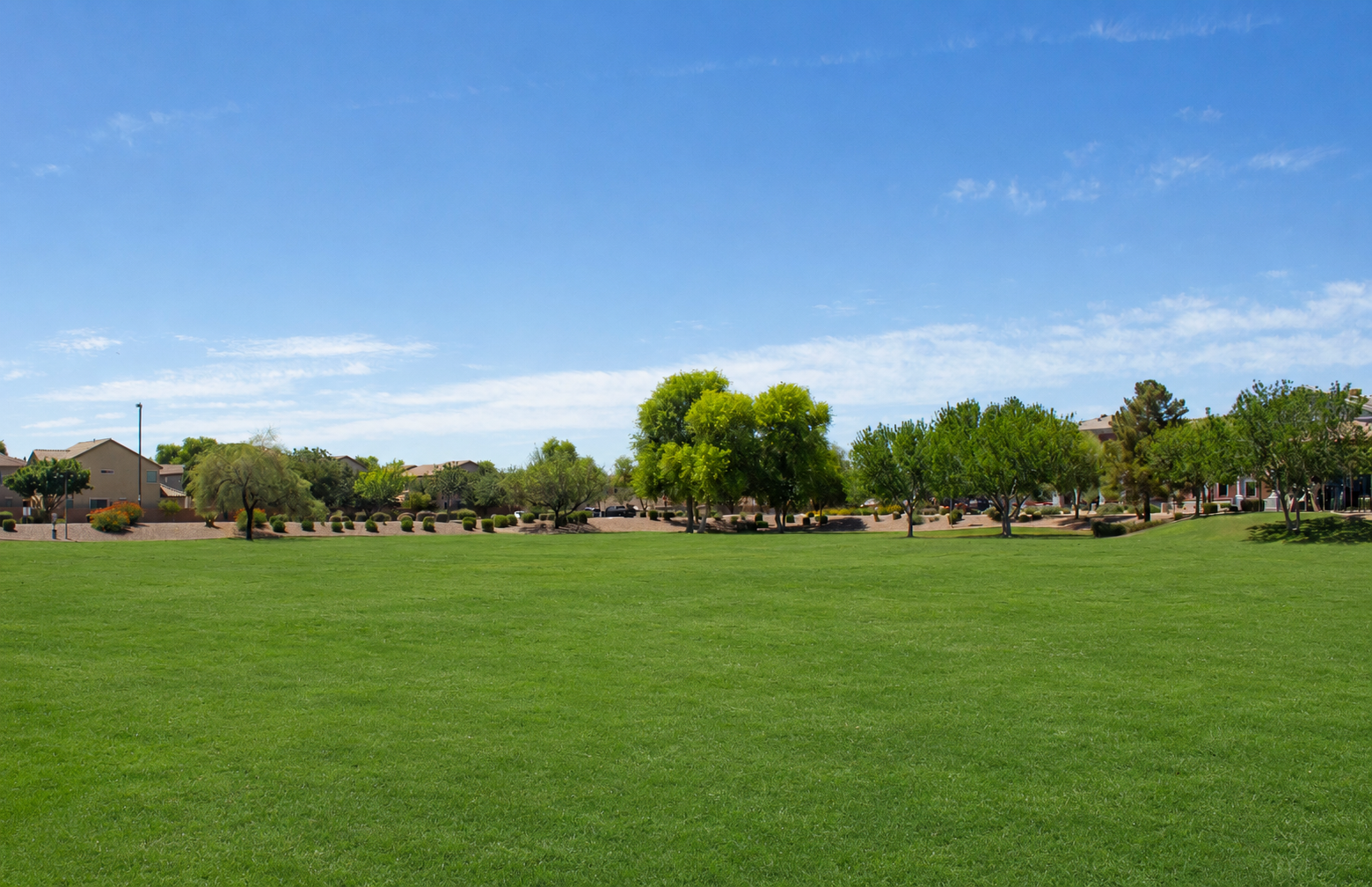 Ray Ranch